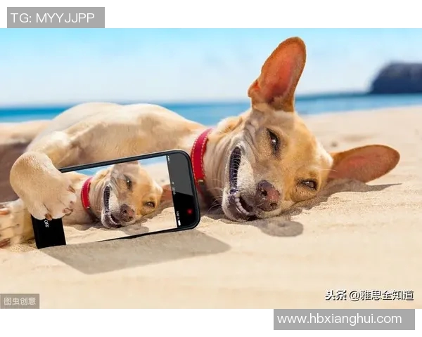 足球明星口误搞笑瞬间合集让你捧腹大笑的精彩视频回顾